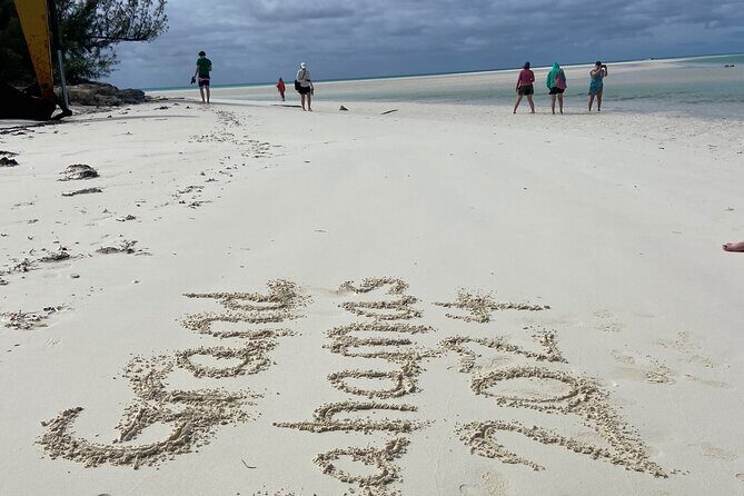 Shared Round Trip Limousine Transfer - The Realities: Pros and Cons Based on Reviews