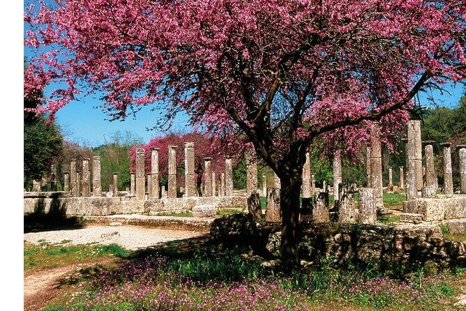 Shared Round Trip Transfer Service from Katakolon to Olympia - Who Will Love This Service?