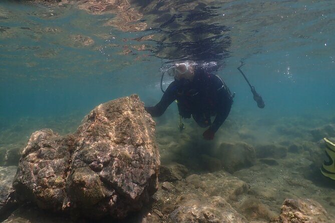 Shared Scuba Diving Trip in Kushimoto - Why This Tour Offers Good Value