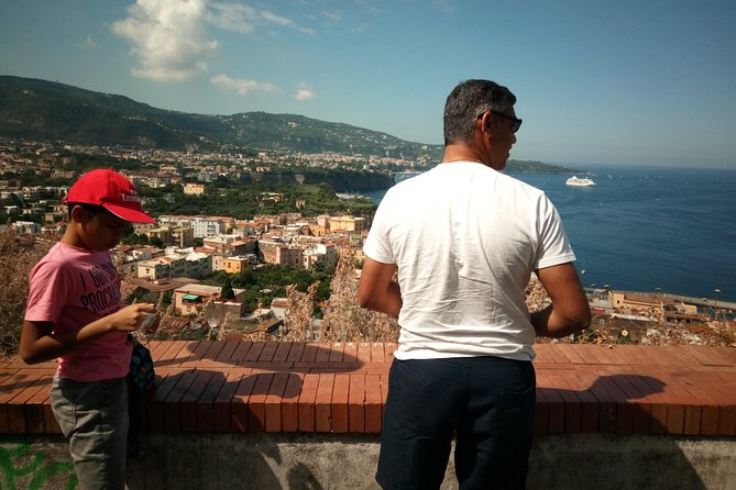 Shared Shore Excursion Naples Port: Pompeii Skip-The-Line and Amalfi Coast - Pricing and Variations