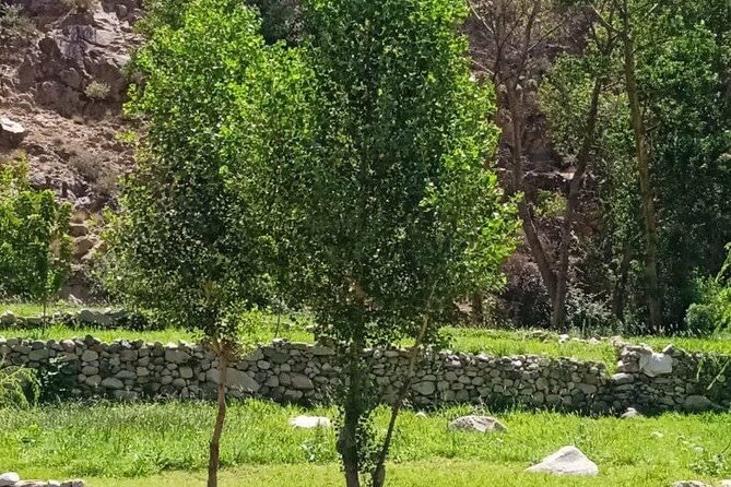 Shared Sightseeing Tour to Ourika Valley With Transfer Included - Maximum Travelers