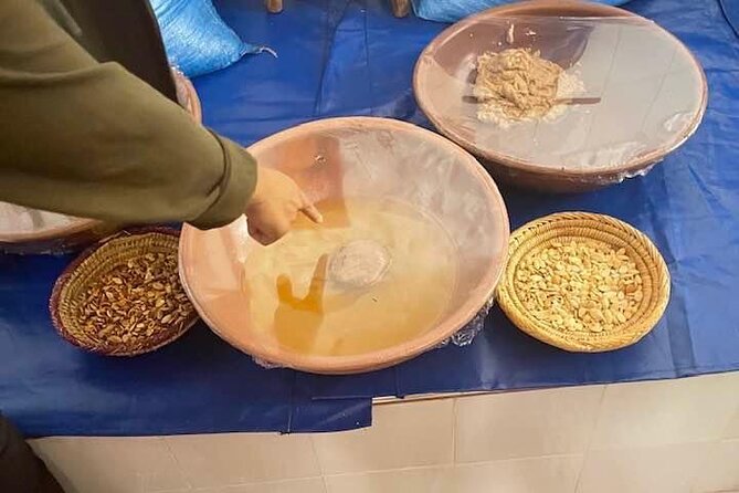 Shared Sightseeing Tour to Ourika Valley With Transfer Included - Reviews