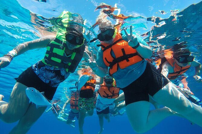 Shared Sky Snorkeling in Cozumel - The Reefs and Sanctuary: Highlights of the Tour