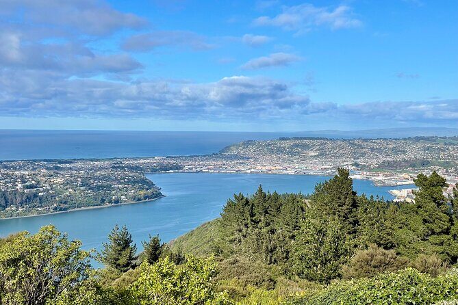 Shared Small Group Dunedin City and Peninsula Scenery Day Tour - Frequently Asked Questions