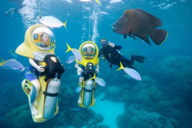 Shared Snorkeling Half-Day Tour in Punta Cana - The Sum Up