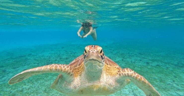 Shared Snorkeling Tour Around 3 Island (Gopro Photoshoot) - Key Points