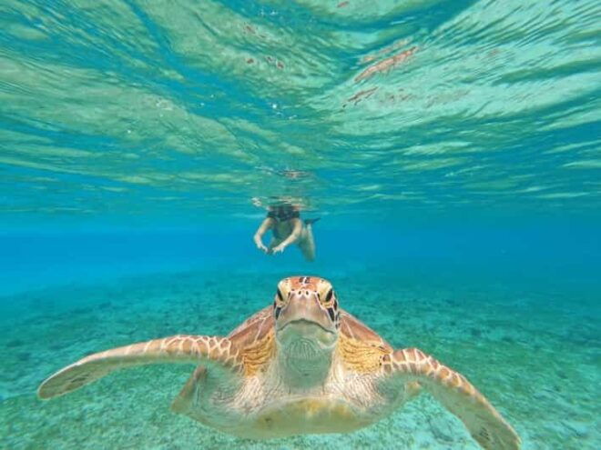 Shared Snorkeling Tour Around 3 Island (Gopro Photoshoot) - Inclusions for Participants
