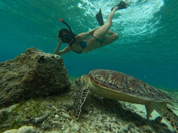 Shared Snorkeling Tour Around 3 Island (Gopro Photoshoot) - Questions You May Have