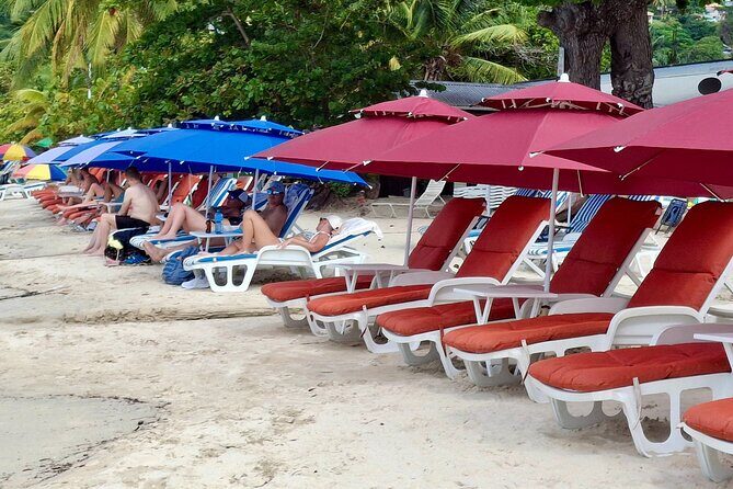 Shared Tour: Annandale Waterfalls, Forts & Grand Anse Beach. - Good To Know