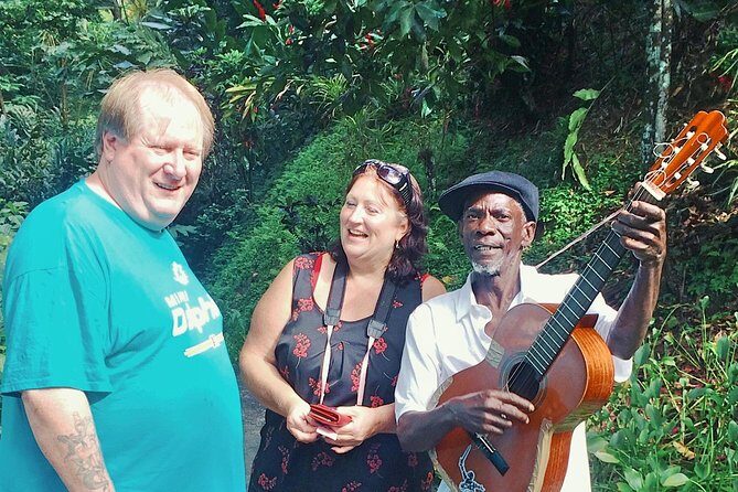 Shared Tour: Annandale Waterfalls, Forts & Grand Anse Beach. - Who Will Love This Tour?