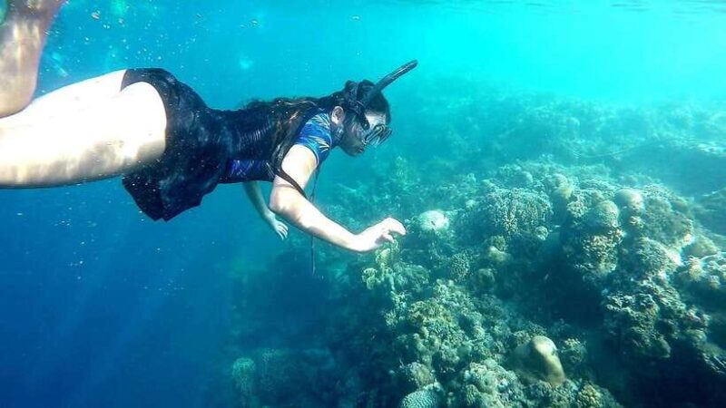 Shared Tour: Moalboal Snorkeling Adventure & Canyoneering - Final thoughts