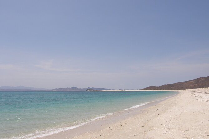 Shared Tour to Isla Espíritu Santo and Snorkeling with Sea Lion - What We Know from Reviews