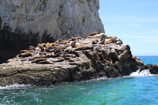 Shared Tour to the Arch of Cabo San Lucas - Reviews