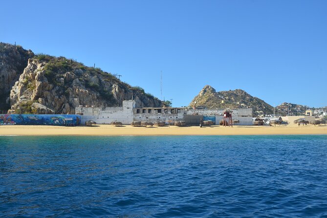 Shared Tour to the Arch of Cabo San Lucas - Landmarks and Wildlife Sightings