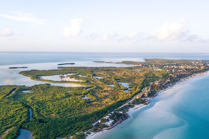 Shared Transfer to Cancun Downtown or Hotel Zone - Reviews