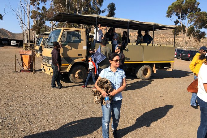 Shared Transfers to and From Safari Game Reserve (Excluding Entrance Fees) - Overview of Safari Game Reserve