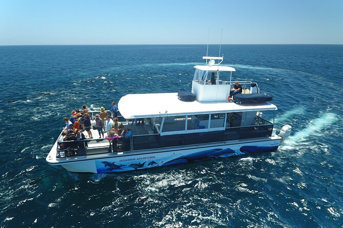 Shared Two-Hour Whale Watching Tour From Oceanside - Overview and Whats Included