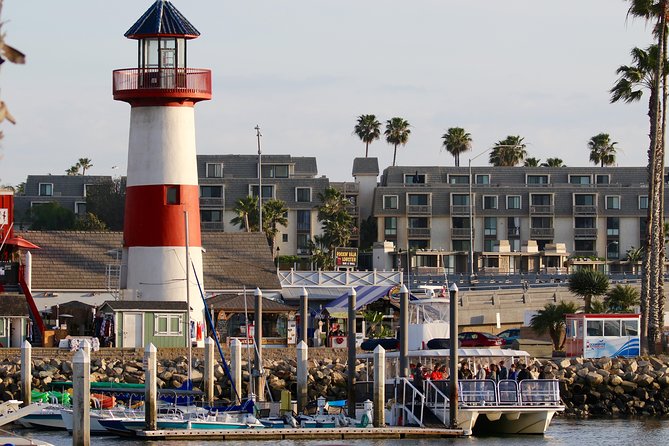 Shared Two-Hour Whale Watching Tour From Oceanside - What to Expect