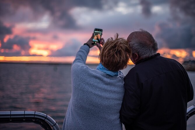 Shared Two-Hour Whale Watching Tour From Oceanside - Positive Experiences