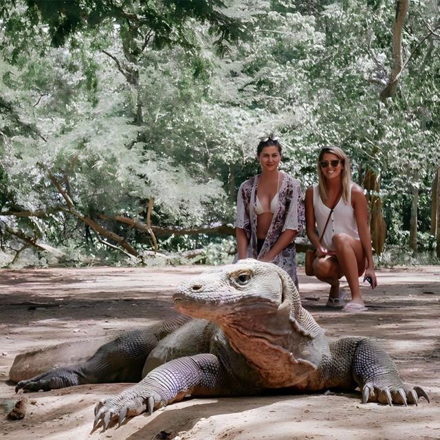 Sharing Day Tour Komodo Island With Fastboat - Activity Details