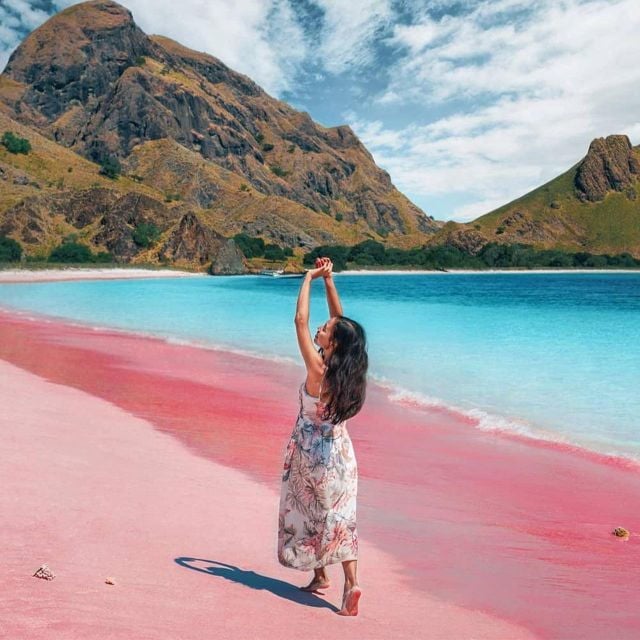 Sharing Day Tour Komodo Island With Fastboat - Itinerary Overview
