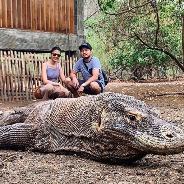 Sharing Day Tour Komodo Island With Fastboat - Common Questions