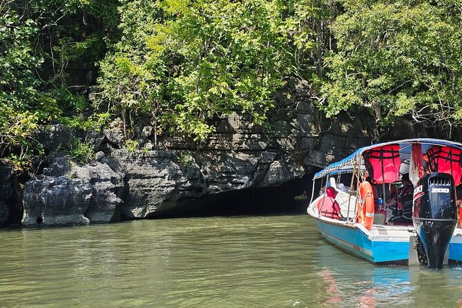 Sharing Half Day Mangrove Boat Tour With Lunch in Langkawi - Good To Know