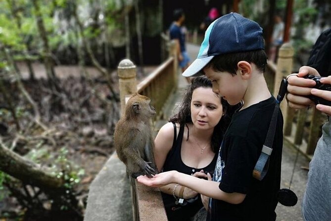 Sharing Half Day Mangrove Boat Tour With Lunch in Langkawi - Reviews