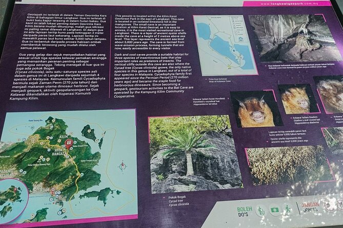 Sharing Half Day Mangrove Boat Tour With Lunch in Langkawi - Responses