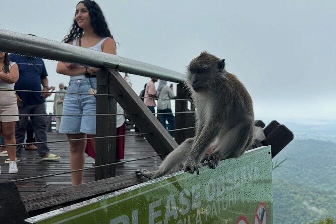 Sharing Langkawi Cruise Excursions With German Speaking Guide - Who Is This Tour Best For?