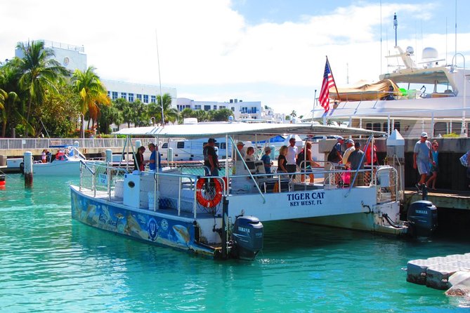 Shark and Wildlife Viewing Adventure in Key West - Customer Reviews and Recommendations
