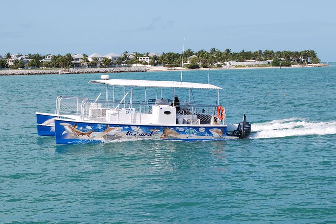Shark and Wildlife Viewing Adventure in Key West - Family-Friendly Experience