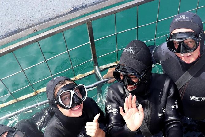 Shark Cage Diving and Viewing From Cape Town - Cancellation Policy