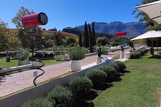 Shark Cage Diving and Viewing ,Gansbaai,Hermanus From Cape Town - Additional Details