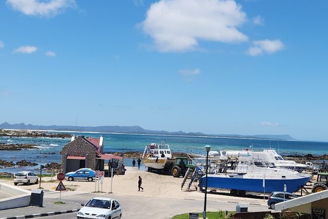 Shark Cage Diving and Viewing ,Gansbaai,Hermanus From Cape Town - Reservation and Flexible Payment