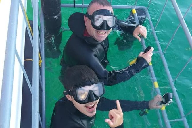 Shark Cage Diving - Traveler Photos and Reviews