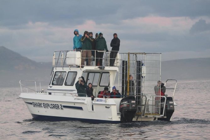 Shark Cage Diving & Viewing in False Bay - Logistics and Accessibility