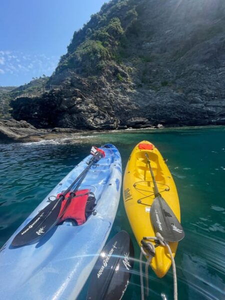 SHARK CAVE KAYAK TOUR - Important Safety Information