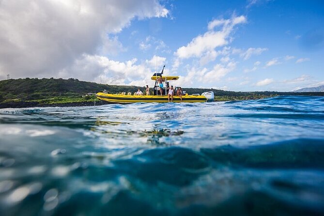 Shark Dive Tour Oahu North Shore - Safety Measures