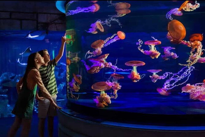 Shark Reef at Mandalay Bay Hotel and Casino - Overview and Features of Shark Reef