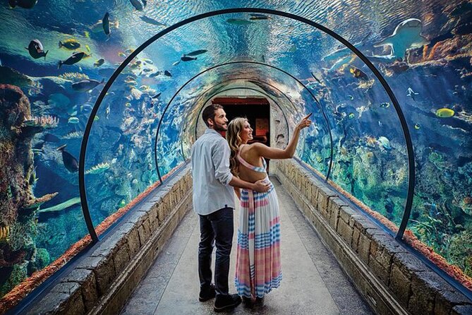 Shark Reef at Mandalay Bay Hotel and Casino - Highlights and Exhibits