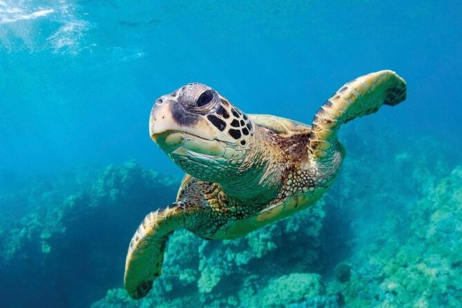Shark Reef at Mandalay Bay Hotel and Casino - Cancellation Policy