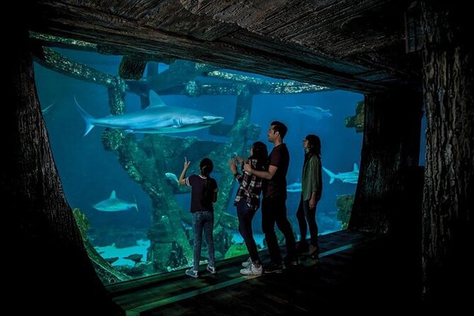 Shark Reef at Mandalay Bay Hotel and Casino - Common Questions