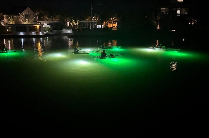 Sharkey's Glass Bottom Fish Feeding LED Night Tour in Venice, FL - Frequently Asked Questions