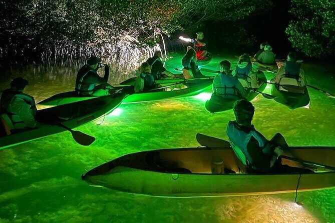 Sharkeys Glass Bottom Fish Feeding LED Night Tour Key West - Good To Know