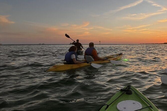 Sharkeys Glass Bottom Fish Feeding LED Night Tour Key West - Who Is This Tour Best For?