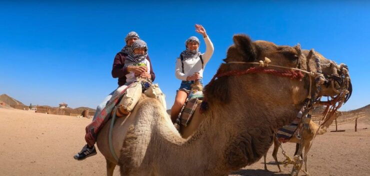 Sharm: Arabian Adventure Horse Ride & Camel Ride W Breakfast - Experience Highlights in the Desert