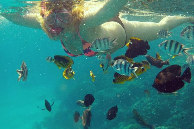 Sharm El Luli Snorkeling Tours - Cancellation Policy