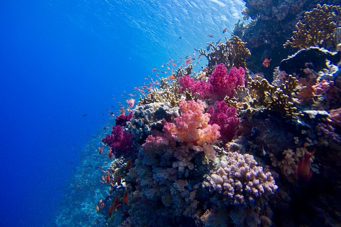 Sharm El Naga Private Full Day Tour From Hurghada - Good To Know