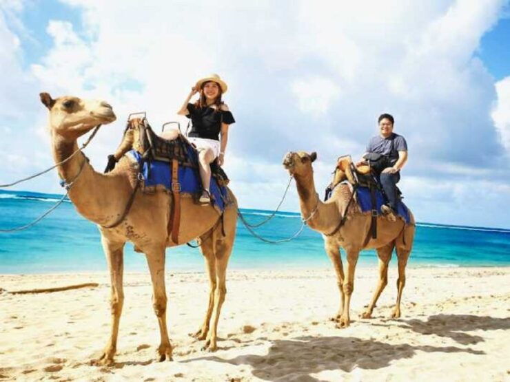 Sharm El-Sheik: Dahab, Red Canyon, and Abu Galum Day Tour - Tour Booking Details